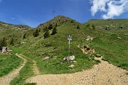 Anello Laghi di Ponteranica-Monte Avaro dai Piani il 3 giugno 2020  - FOTOGALLERY